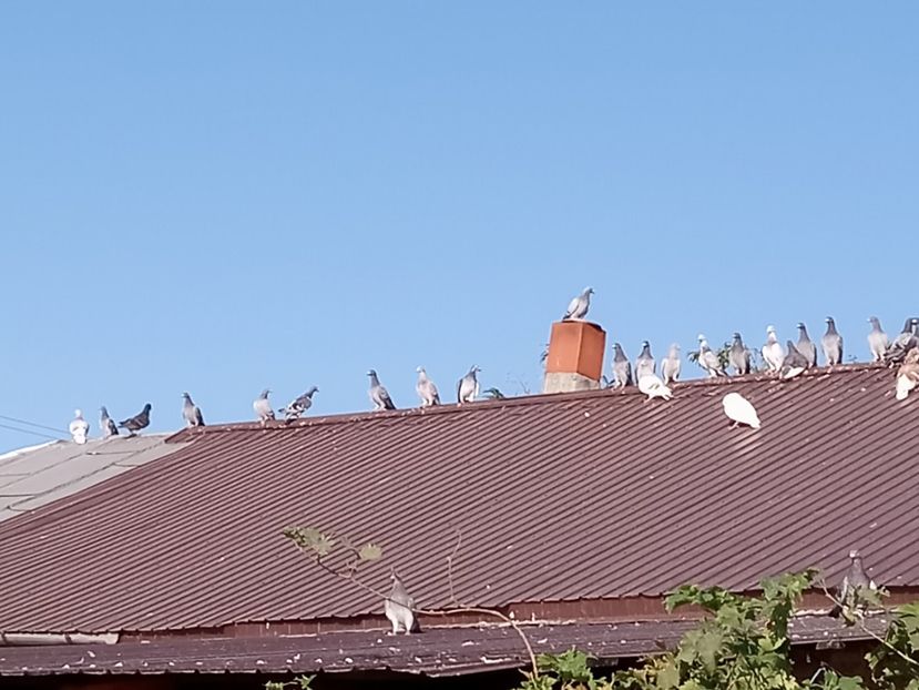  - 000Album de album2023