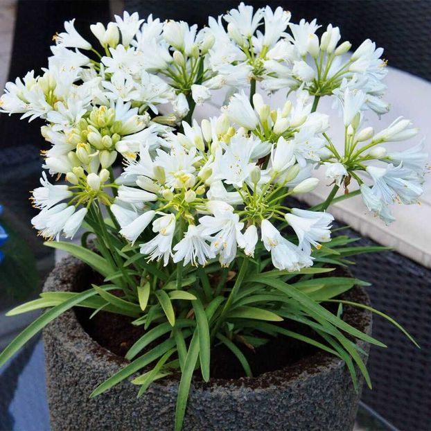 received_818959156587841 - Septembrie 2023