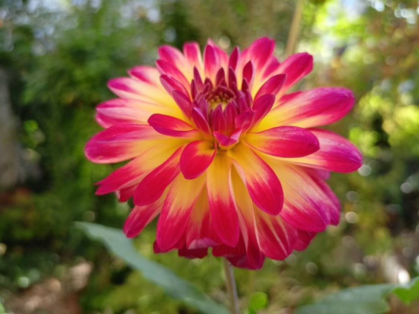  - Grădina 2023 continuare 5