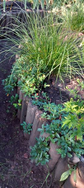  - 2023 - 03 - Toamna