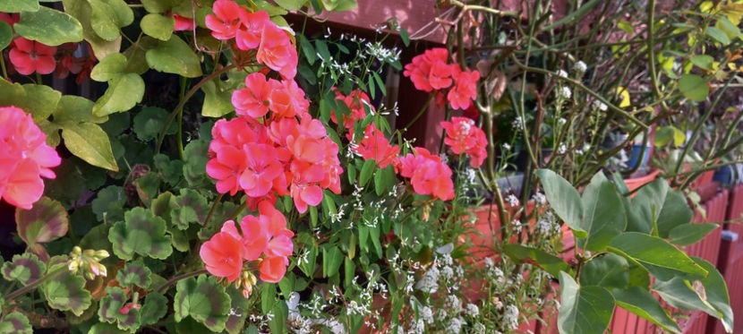  - 2023 - 03 - Toamna