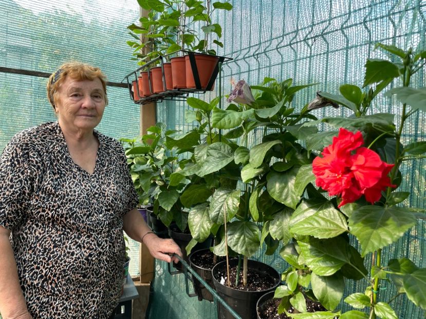  - 001 - Hibiscusi 2023