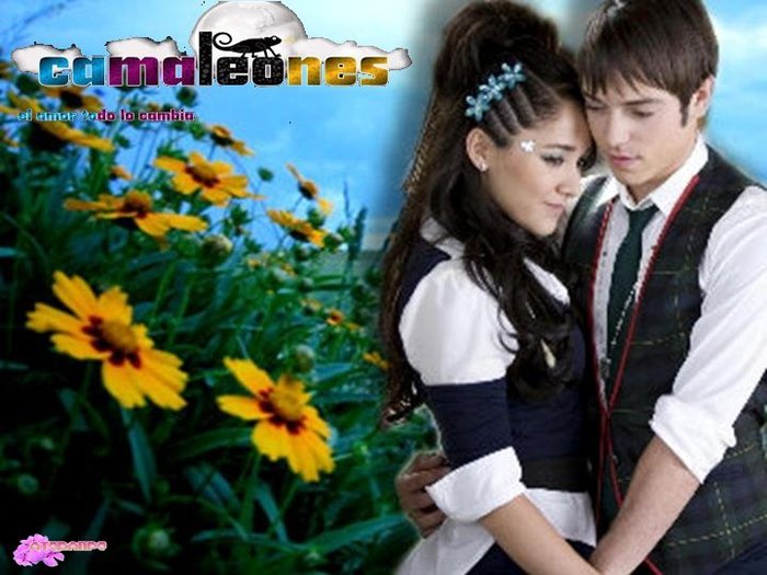 345lizs - camaleones