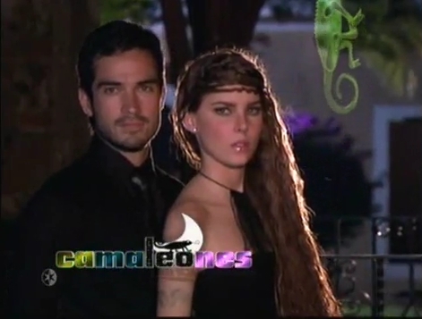 vmys15 - camaleones