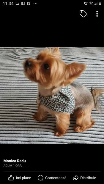 Sept.2023 Am fost la tuns - Nepoata Nora