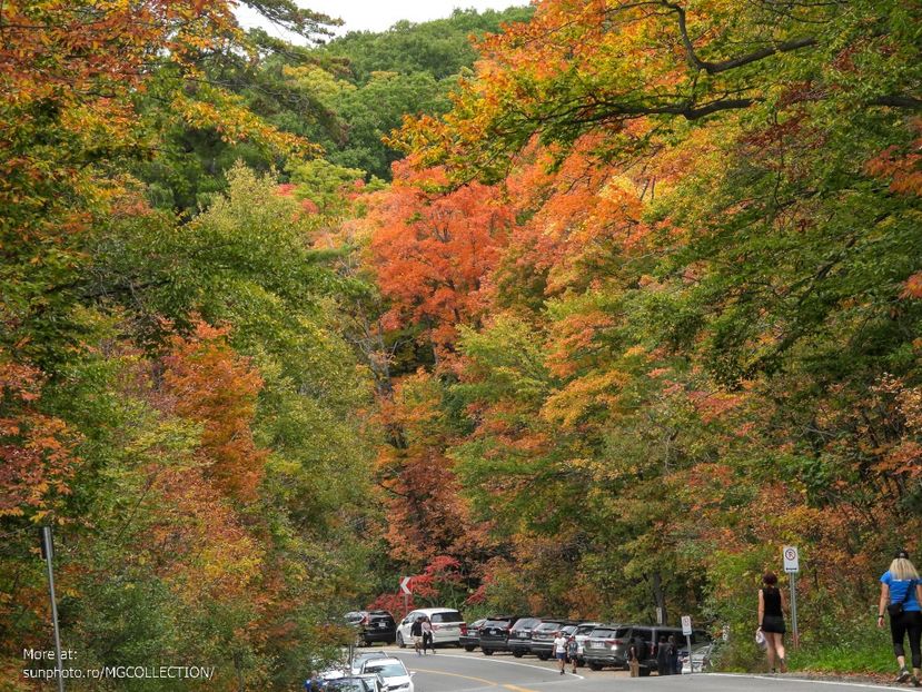 Lake Pink,Gatineau - AUTUMN - Toamna canadiana