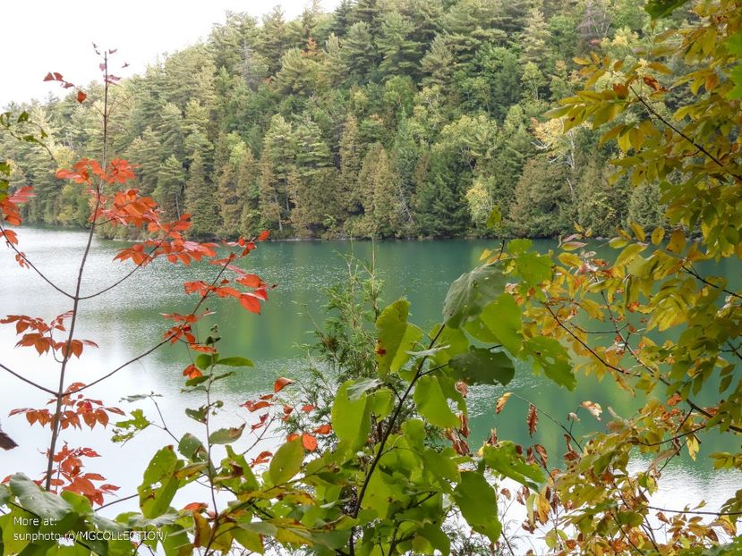 Lake Pink, Gatineau - H - LAKES - Lacuri