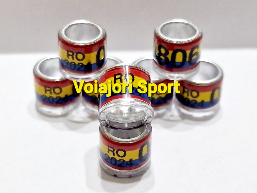  - Inele fi Voiajor Sport 8mm