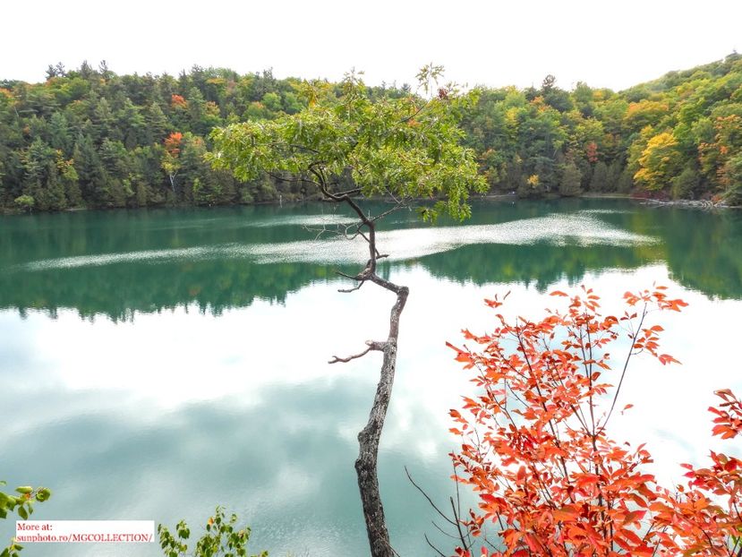 Lake Pink, Gatineau 2 - H - LAKES - Lacuri