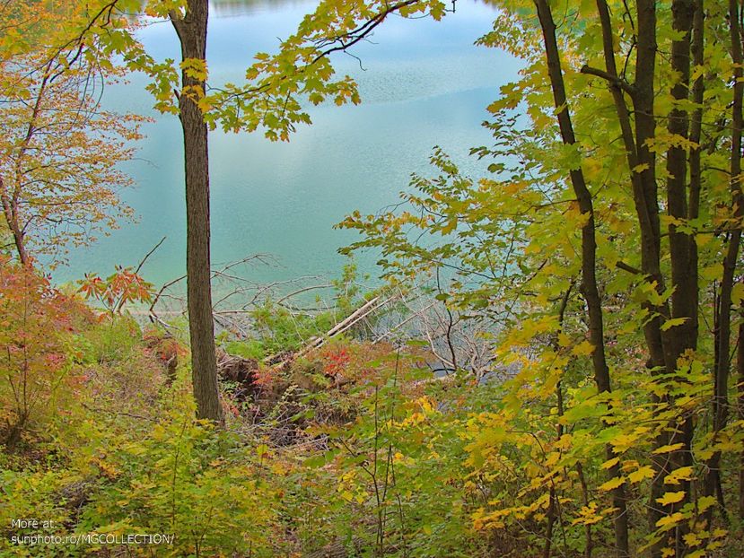 Park Gatineau 5 - AUTUMN - Toamna canadiana