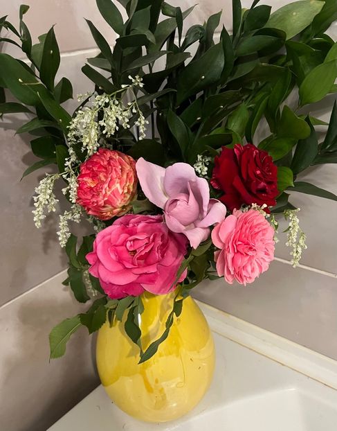 38DC5DE8-EFE5-4B4F-A139-ECA2D65EDEE5 - Trandafiri 2023 3 2024