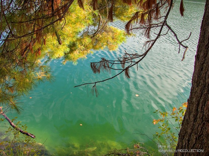 Lake Pink, Gatineau 5 - LAKES - Lacuri