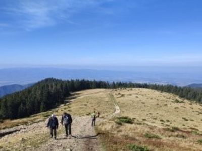 - Stâna de Vale