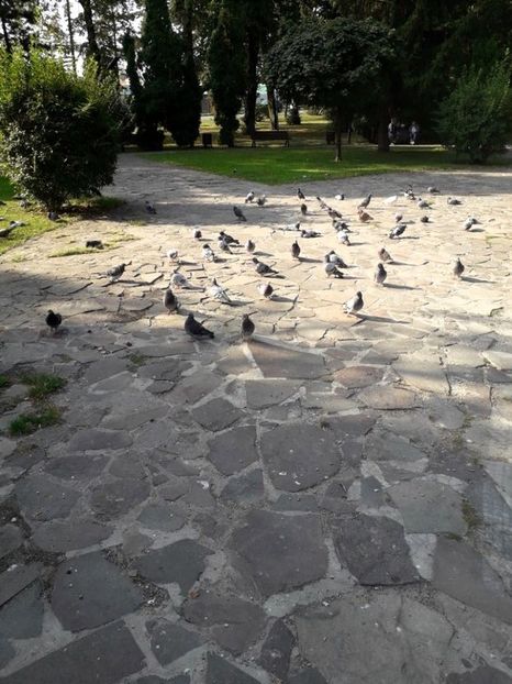  - La manastiri in Bucovina