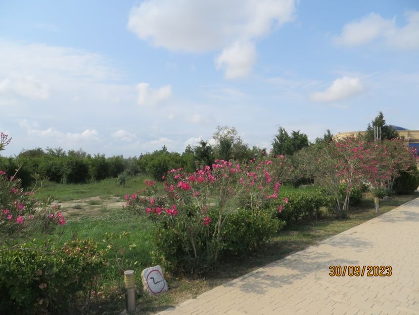  - 1 Baku - Parcul National Gobustan