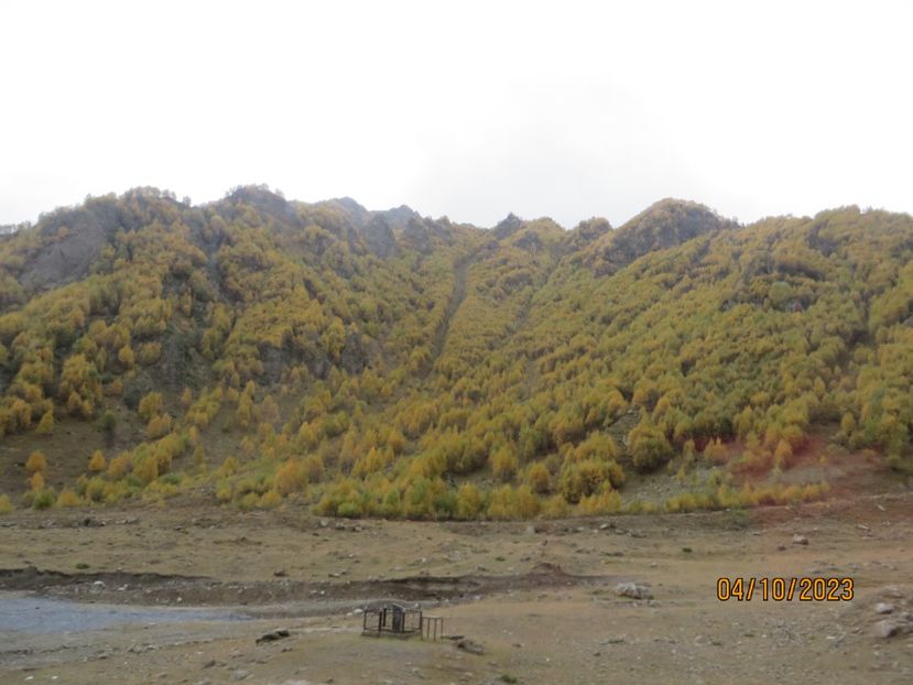  - 5 Ananuri Gudauri
