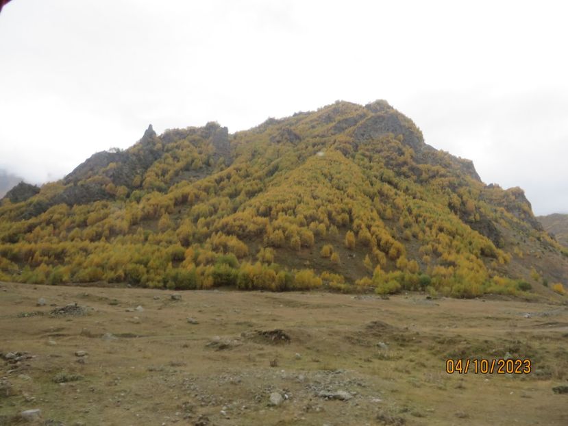  - 5 Ananuri Gudauri