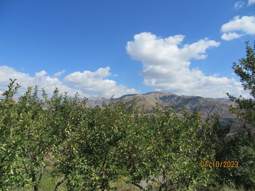  - 9 Etchmiadzin - Garni - Geghard