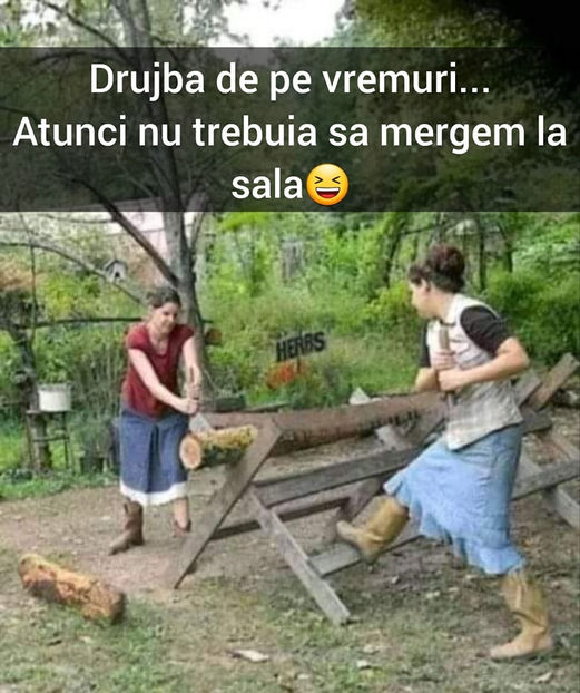  - Simboluri