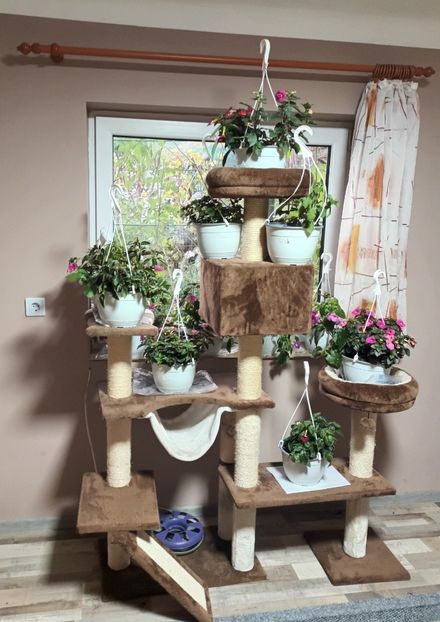 Ansamblul de catarat al pisicilor - Acasă e la mama