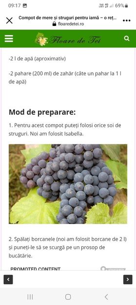 Screenshot_20231012_091702_Facebook - Compot de mere si struguri