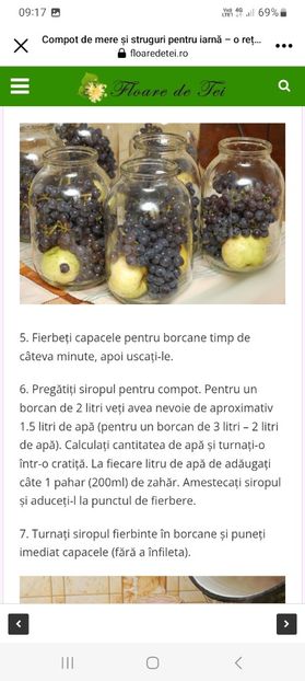 Screenshot_20231012_091713_Facebook - Compot de mere si struguri