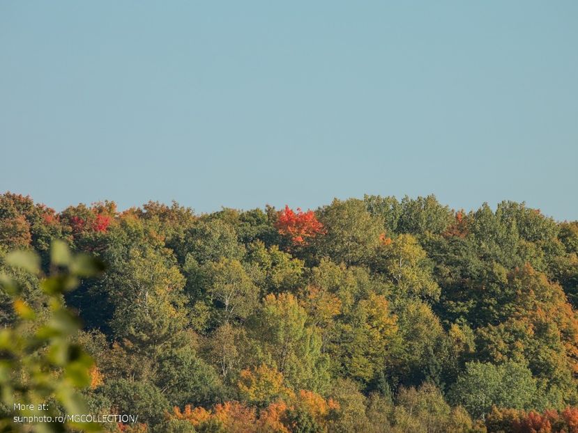 Val de Monts 2 - CANADIAN AUTUMN - Toamna canadiana