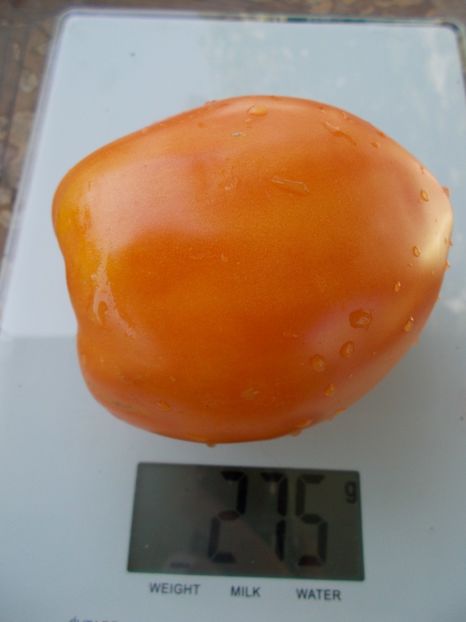  - SEMINTE ROSII - COEUR DE BEUF ORANGE