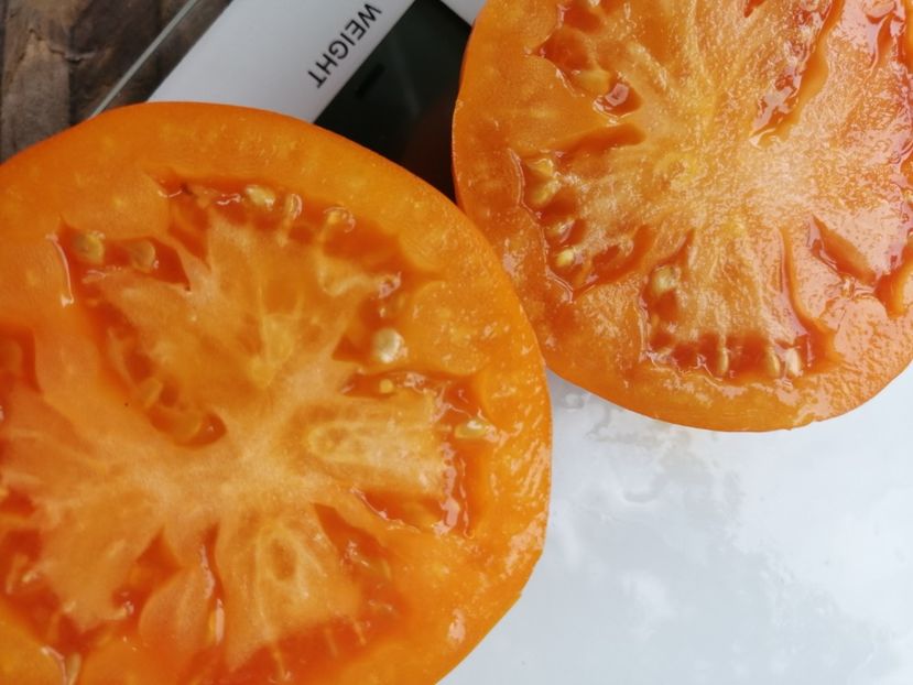  - SEMINTE ROSII - T 964 YOLANDA