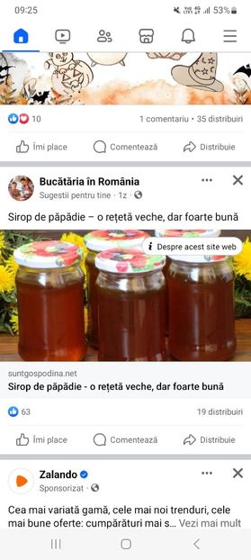 Screenshot_20231014_092540_Facebook - Sirop de papadie