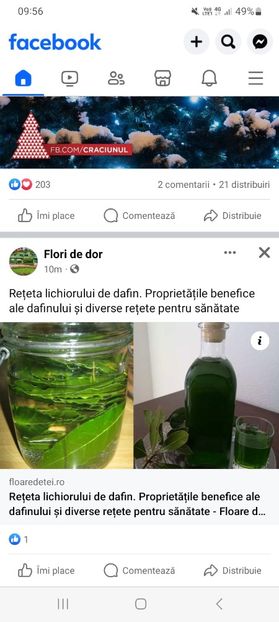 Screenshot_20231014_095623_Facebook - Lichior de dafin