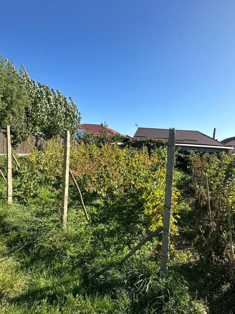 IMG-20231014-WA0119 - 0 000001 14 10 2023 Toamna la Cordun