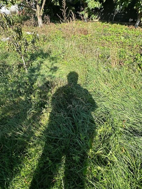 IMG-20231014-WA0127 - 0 000001 14 10 2023 Toamna la Cordun