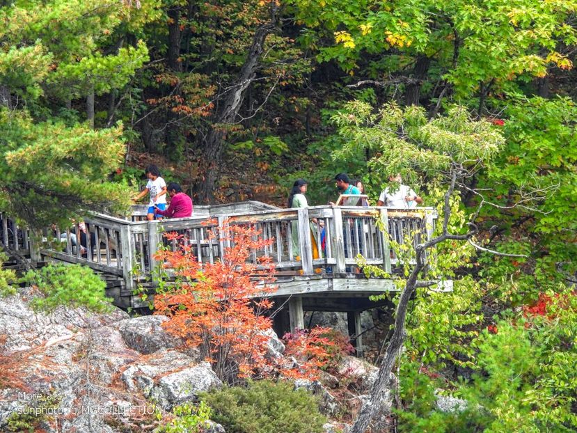 Lake Pink, Gatineau 9 - I - PEOPLES - OAMENI