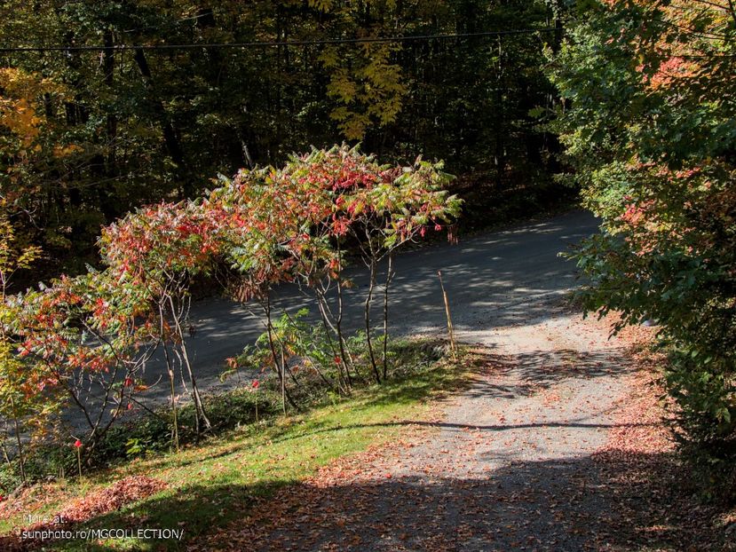 Val de Monts 3 - CANADIAN AUTUMN - Toamna canadiana