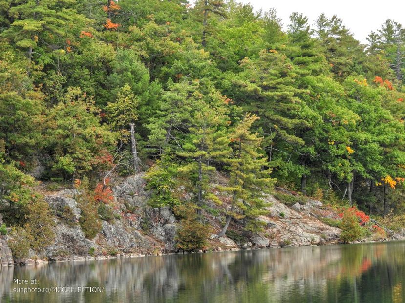 Lake Pink, Gatineau 11 - CANADIAN AUTUMN - Toamna canadiana