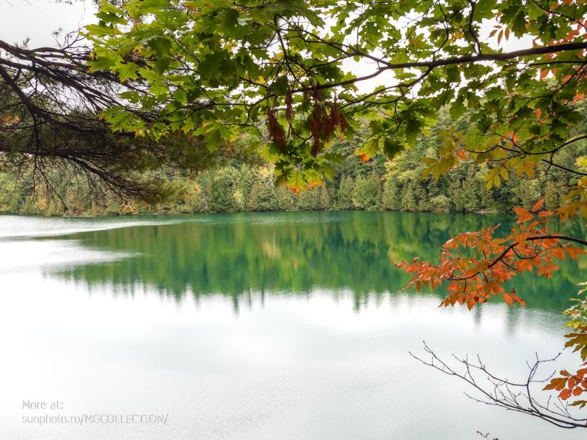 Lake Pink, Gatineau 8 - AUTUMN - Toamna canadiana