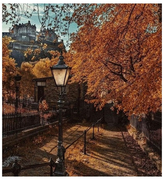 ♡ Oᥴtobᥱr 14 » „We found each other, I helped you out of a broken place. You gave me comfort, - Tomnatic și nostalgic