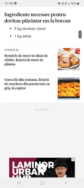Screenshot_20231015_074845_Samsung Internet - Dovleac placintar ras la borcan pentru iarna