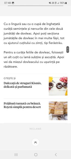 Screenshot_20231015_074855_Samsung Internet - Dovleac placintar ras la borcan pentru iarna