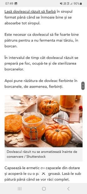 Screenshot_20231015_074907_Samsung Internet - Dovleac placintar ras la borcan pentru iarna