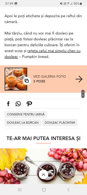 Screenshot_20231015_074912_Samsung Internet - Dovleac placintar ras la borcan pentru iarna