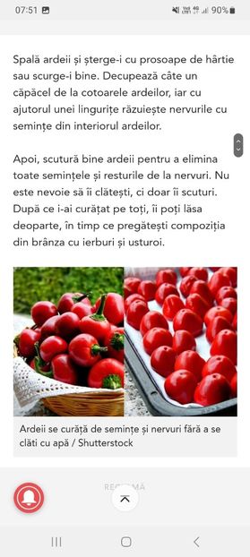 Screenshot_20231015_075132_Samsung Internet - Arxei iuti umpluti cu branza la borcan pentru iarna