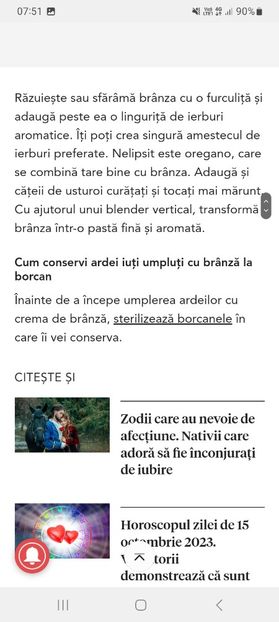 Screenshot_20231015_075139_Samsung Internet - Arxei iuti umpluti cu branza la borcan pentru iarna