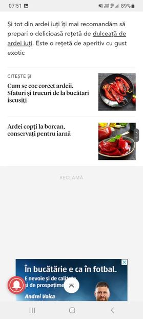 Screenshot_20231015_075153_Samsung Internet - Arxei iuti umpluti cu branza la borcan pentru iarna