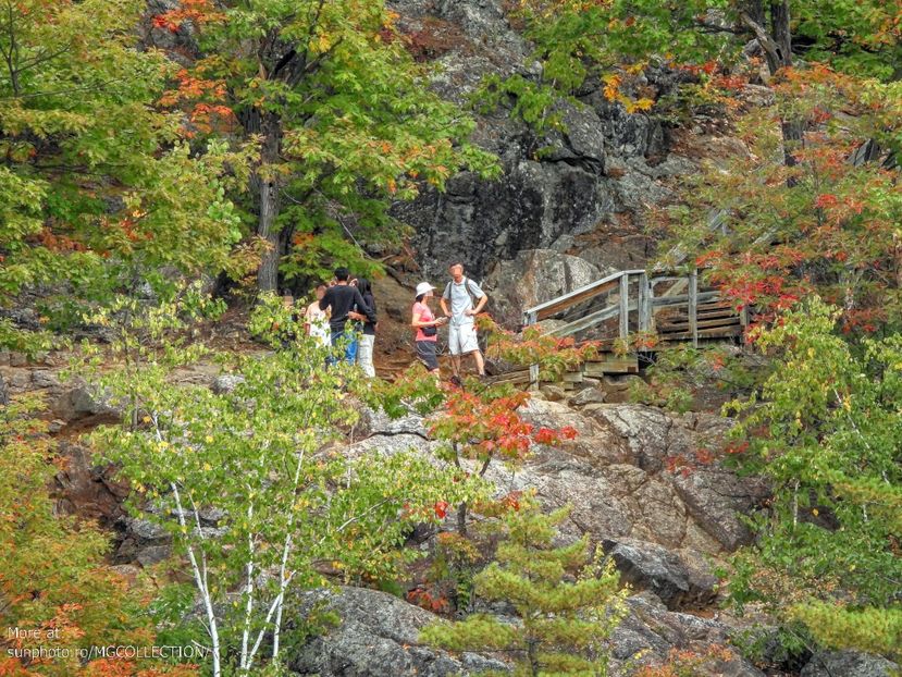Lake Pink, Gatineau 10 - I - PEOPLES - OAMENI