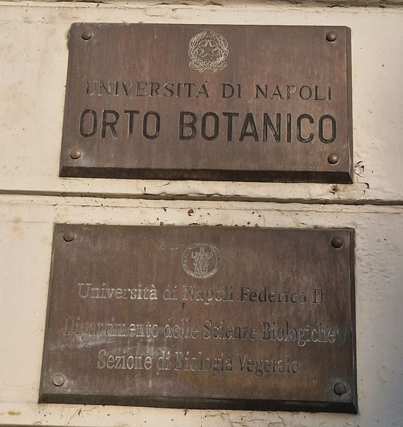  - 2023 Gradina Botanica Napoli