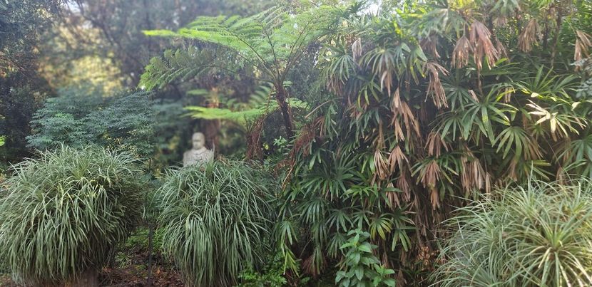  - 2023 Gradina Botanica Napoli