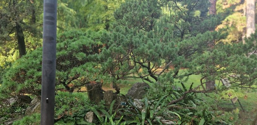  - 2023 Gradina Botanica Napoli