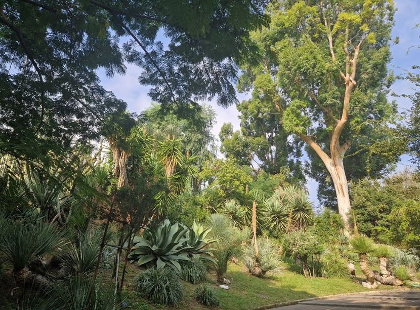  - 2023 Gradina Botanica Napoli